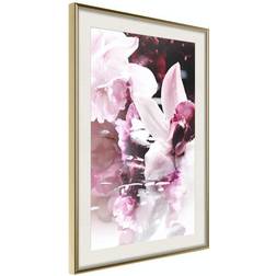 Arkiio Affisch Sleepy Orchid [Poster] 30x45 Poster